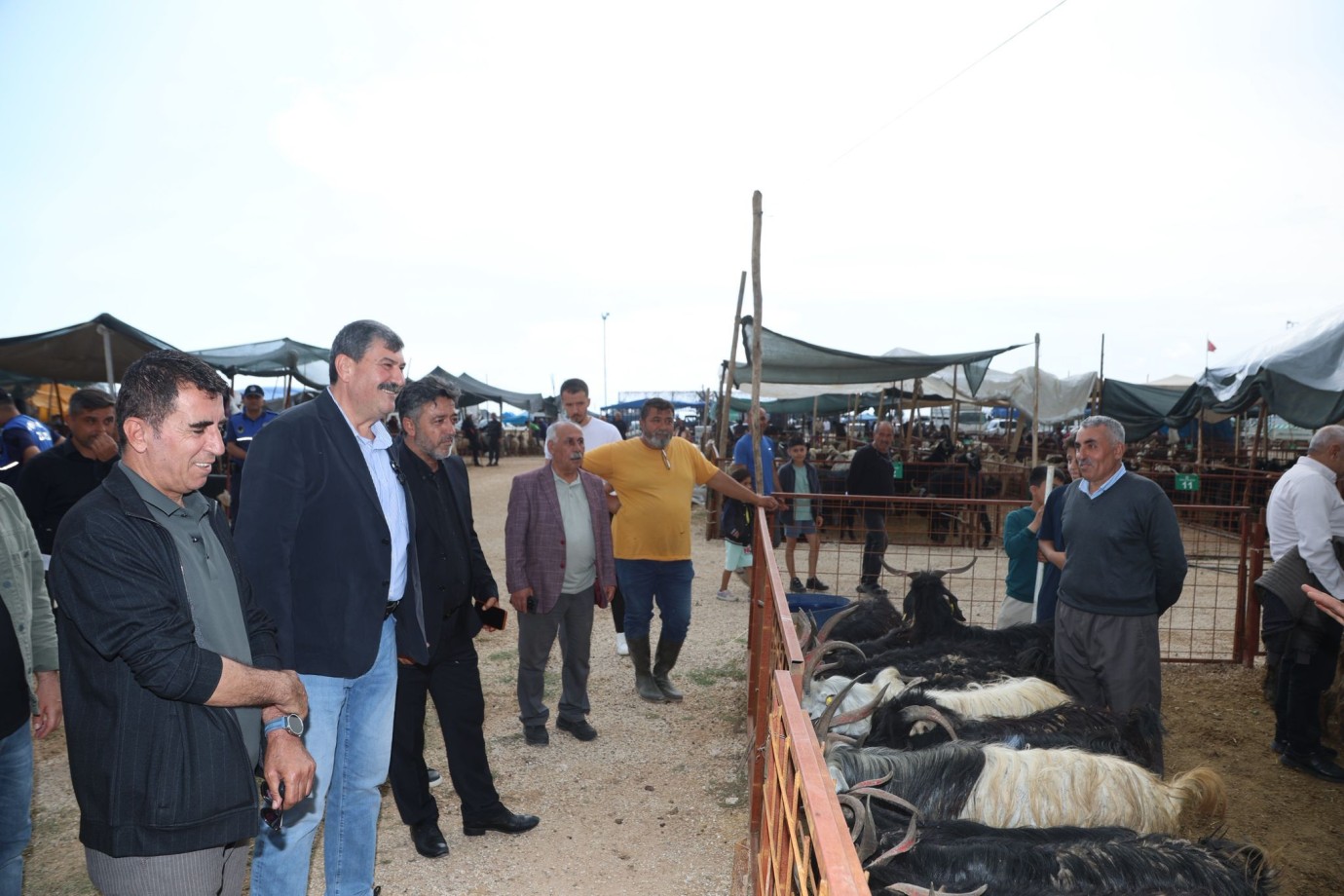 BAŞKAN YILDIZ KURBAN SATIŞ ALANINI ZİYARET ETTİ