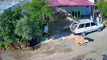Kurbanlık Kaçışları Eğlenceye Dönüştü
