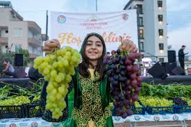Mersin'de 7. Örtüaltı Üzüm Festivali coşkusu