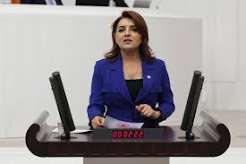 GÜLCAN KIŞ: “MİLLETİN OTOYOLLARI VE KÖPRÜLERİ 30 YILLIK KAZANÇ KAPISI OLAMAZ!”